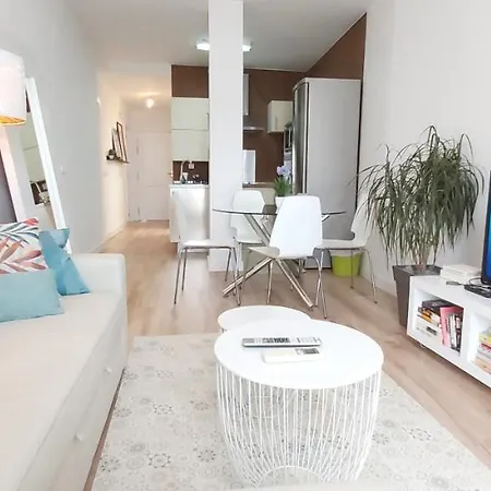 Centro Terraza Apartment